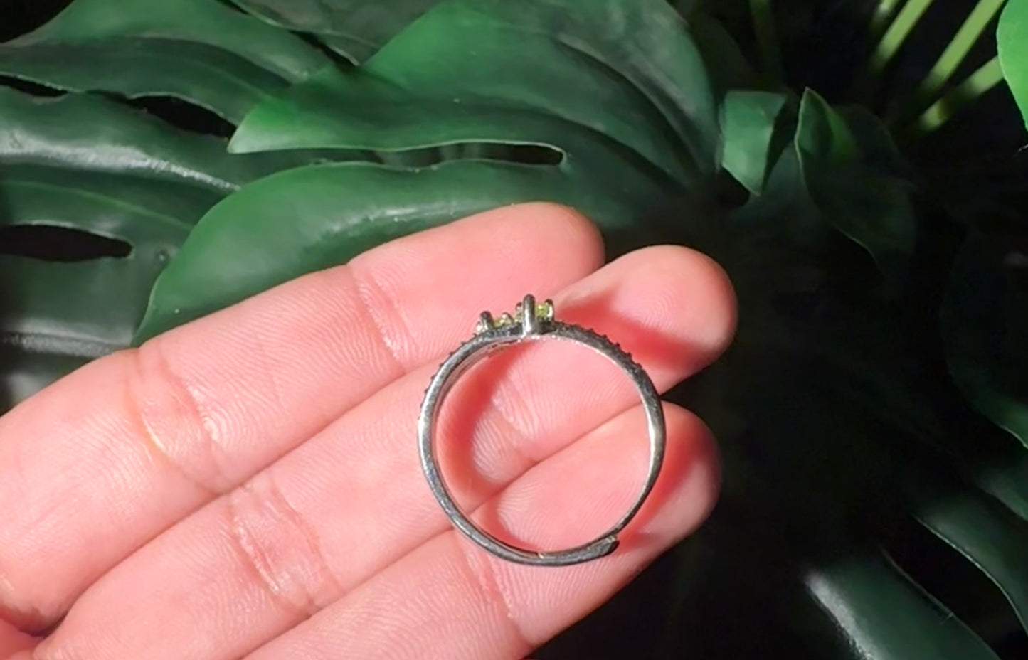 Ivy Ring.