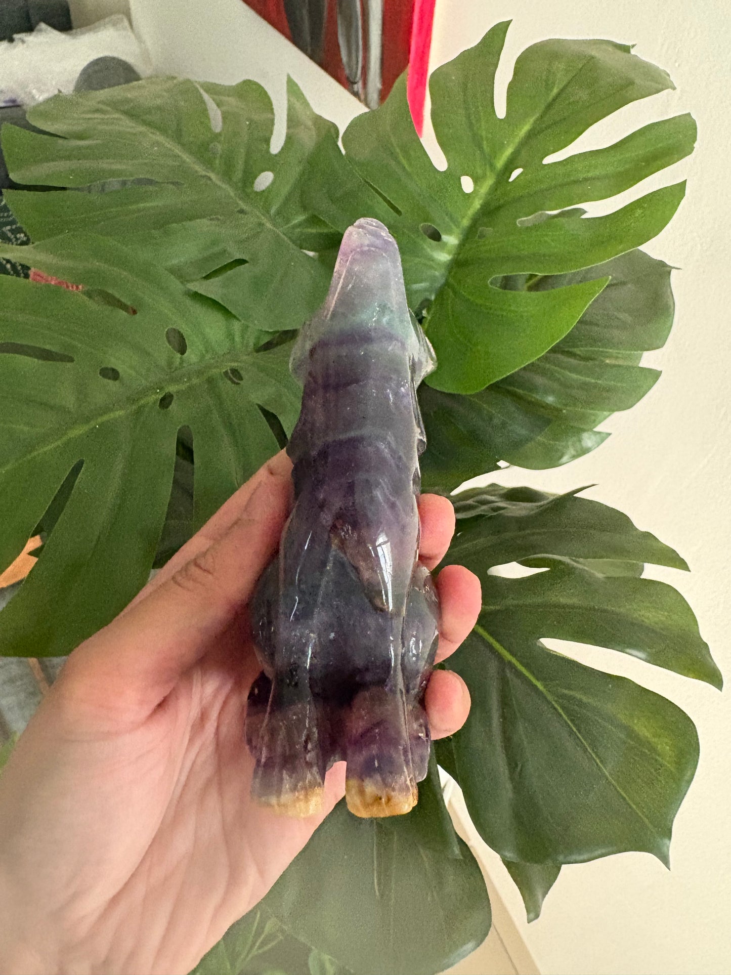 Multi fluorite howling wolf