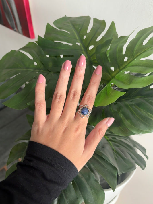 Bloom rings