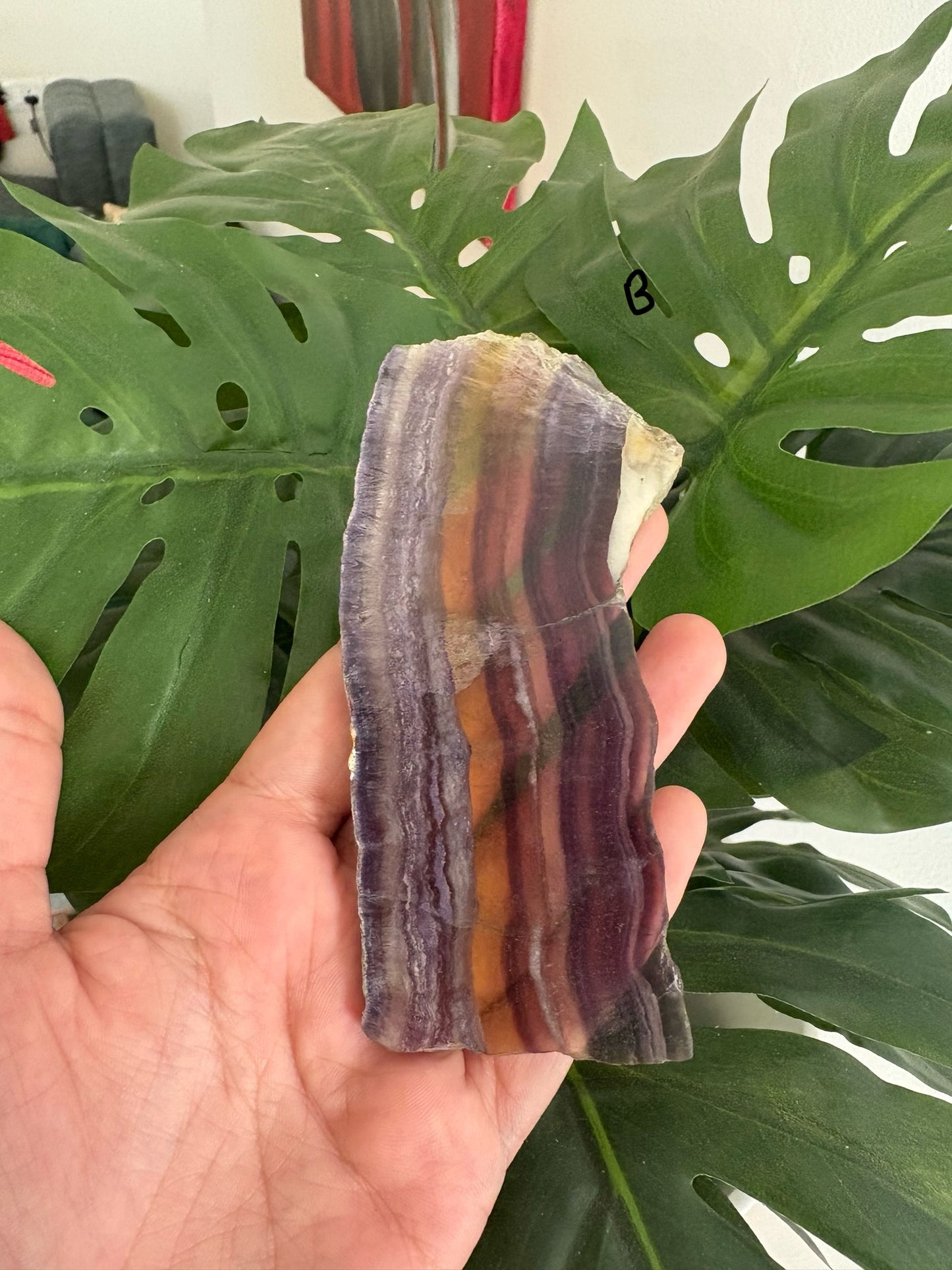 Fluorite slabs