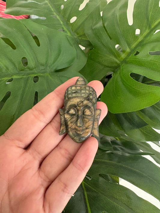 Lab Buddha faces