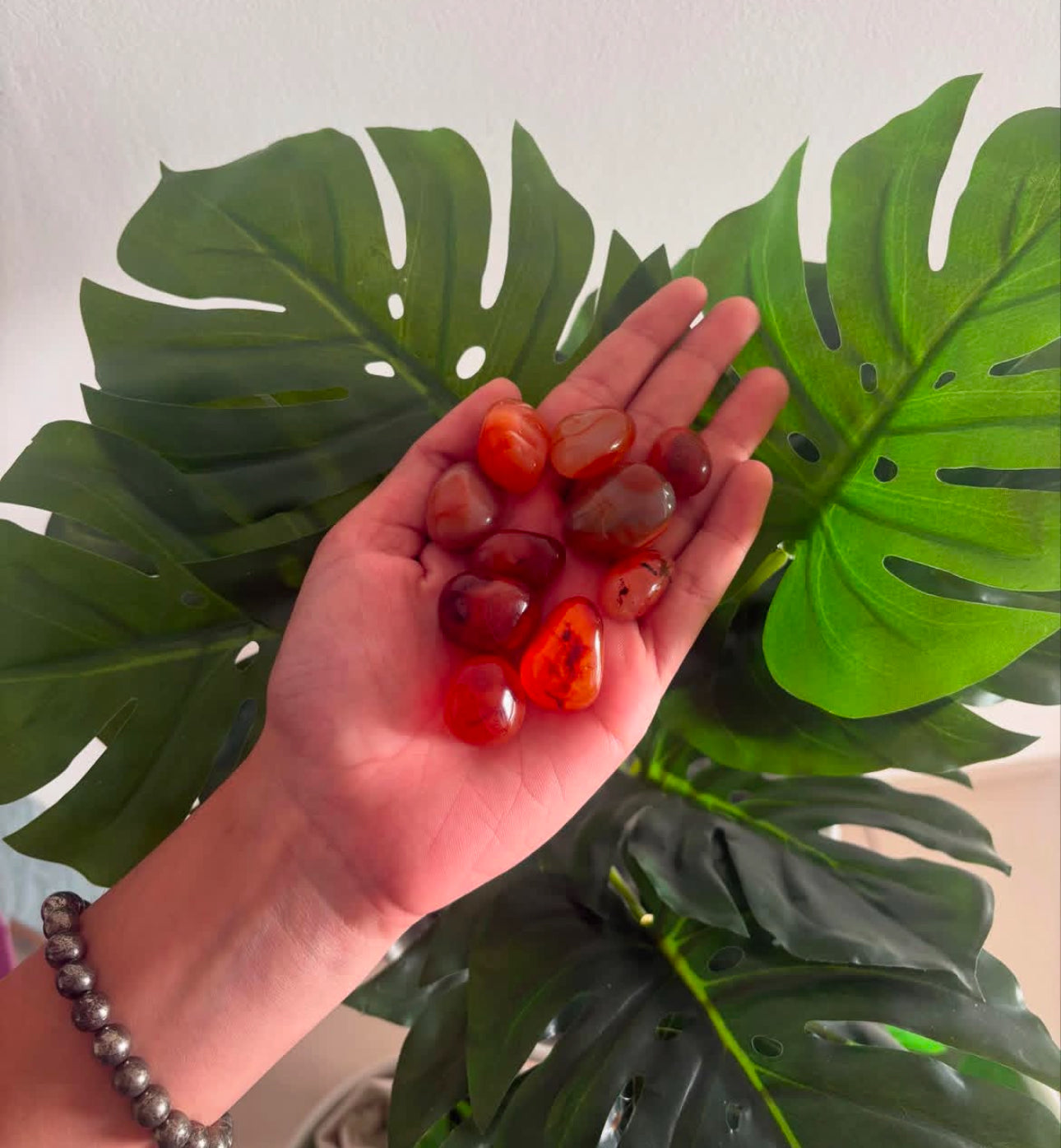 Carnelian tumbles